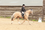 SBM_001492