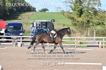 BPP_8537