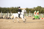 SBM_03936
