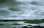 Tower Mill from Norton Marsh.