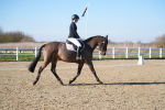 SBM_004335