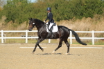SBM_000677
