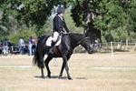 WJ7_9546