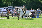 SBM_03776
