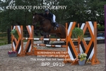 BPP_0910