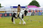 SBM_01035