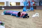 SBM_006484