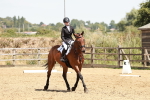 SBM_003538