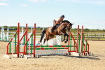 SBM_005207