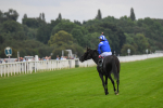 230823-Race 4-Mostahdaf-0611