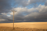11 Storm over field ND