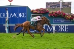 Race 2 2.25pm Weatherbys Hamilton Lonsdale Cup Stakes portfolio