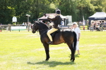 SBM_17633