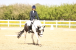 SBM_007885