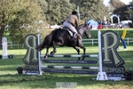 448-BARATHEON-Georgina.Owen-TrotUp+SJ portfolio