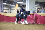 SBM_14884