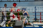 Boxing_Guernsey v Manchester-23
