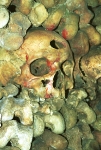 Paris  Catacombs - Paris, France