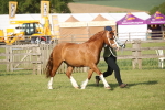 SBM_10489