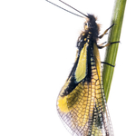 ITA_PHD_20120504-040