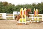 SBM_000219