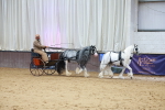 SBM_000669