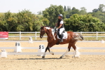 SBM_003409