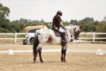 SBM_002751