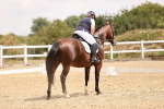 SBM_008564