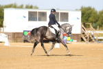 SBM_010697