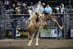 Tucker Curracato_DSC2331