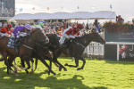 230923-Race 5-Vintage Clarets-5397