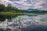 Chocorua Summer Heat