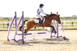 SBM_001161