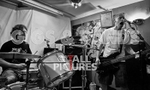 FalenizzaHorsePower-14