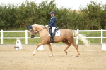 SBM_018495