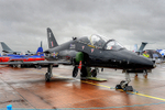 HAWK 02
