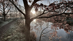 Autumn Sunrise ~ Blackwater Canal II (Muted)
