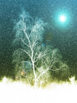 Birch Moon