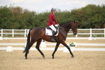 SBM_001335