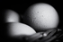 Eggs 03