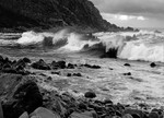 High Seas - Duckpool