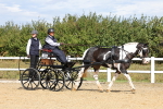 SBM_000906