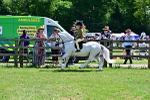 SBM_06082