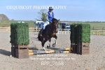 BPP_7668