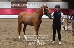 BPP_2589