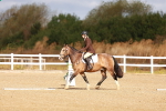 SBM_009386