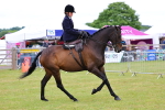SBM_02722