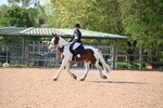 WJ6_6779