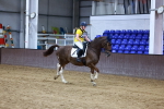 SBM_005423